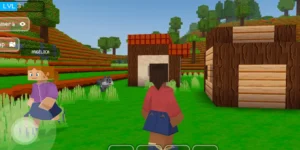 Minecraft world Block craft 3d