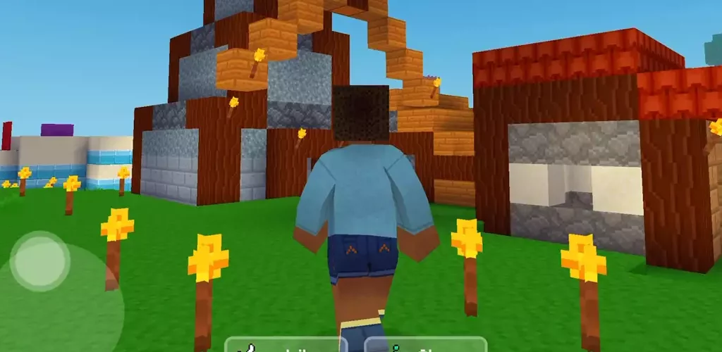 Minecraft world Block craft 3d
